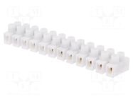 Connector: terminal block; 24A; 400V; screw terminal; white PAWBOL