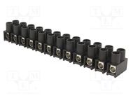 Terminal block; screw terminal; 16mm2; 400V; 76A; ways: 12; black SIMET