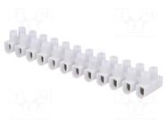 Connector: terminal block; 450V; screw terminal; Contacts: steel ELECTRO TERMINAL