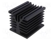 Heatsink: extruded; black; L: 100mm; W: 80mm; H: 78.6mm; 0.7K/W; screw FISCHER ELEKTRONIK