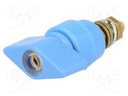 Laboratory clamp; blue; 1kVDC; 63A; on panel,screw; brass 