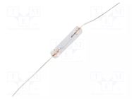 Filament lamp: axial miniature; 6VDC; 300mA; Bulb: T1 1/4; Ø: 4mm BRIGHTMASTER