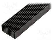 Heatsink: extruded; grilled; black; L: 1000mm; W: 45mm; H: 22mm FISCHER ELEKTRONIK