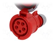 Connector: AC supply 3-phase; socket; female; 32A; 400VAC; Shark PCE