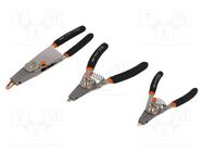 Kit: pliers; for circlip; Kit: replaceable tips; straight; 3pcs. BAHCO