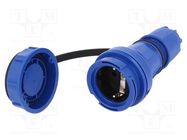 Connector: AC supply; female; socket; 2P+PE; 250VAC; 16A; blue PCE