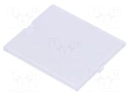 Front panel; without frame,with holder; transparent ITALTRONIC