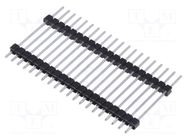 Connector: pin strips; pin header; male; PIN: 20; straight; THT MPE GARRY