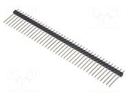 Connector: pin strips; pin header; male; PIN: 40; straight; THT CONNFLY