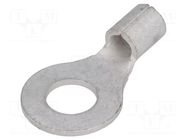 Tip: ring; M6; 2.5÷6mm2; non-insulated; tinned; copper; bulk MOLEX