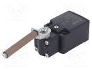 Limit switch; porcelain roller Ø9x57mm R 80mm; NO + NC; 6A; PG11 PIZZATO ELETTRICA