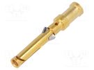 Contact; female; copper alloy; nickel plated,gold-plated; 1.5mm2 HARTING