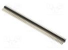 Pin header; pin strips; male; PIN: 100; straight; 2.54mm; THT; 2x50 MPE GARRY