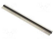 Connector: pin strips; pin header; male; PIN: 100; straight; THT MPE GARRY