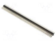 Connector: pin strips; pin header; male; PIN: 100; straight; THT MPE GARRY