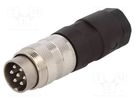 Connector: M16; plug; male; soldering; for cable; PIN: 7; 5A; 300V AMPHENOL