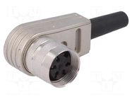 Connector: M16; plug; female; PIN: 5; 5A; 300V; C091A; soldering; IP40 AMPHENOL