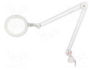 Desk magnifier; with backlight; 3dpt; Ø175mm; Ø7"; 12W; 6000K DAYLIGHT COMPANY