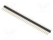 Pin header; pin strips; male; PIN: 36; straight; 2.54mm; THT; 1x36 FISCHER ELEKTRONIK
