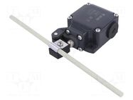 Limit switch; adjustable fiber glass rod, max length 187mm PIZZATO ELETTRICA