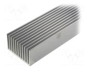 Heatsink: extruded; grilled; natural; L: 1000mm; W: 100mm; H: 60mm FISCHER ELEKTRONIK