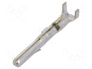 Contact; male; CMNL; brass; tinned; 0.5÷1mm2; bulk; crimped; 13A TE Connectivity