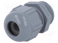 Cable gland; PG11; IP68; polyamide; dark grey LAPP