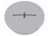 Stopper; M32; 1.5; IP54; polyamide; light grey; SKINDICHT®; 8mm LAPP