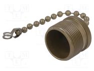 Protection cover; 97; external thread,threaded joint; -55÷125°C AMPHENOL