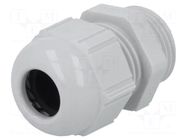 Cable gland; PG11; IP68; polyamide; light grey; SKINTOP® LAPP
