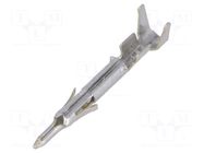 Contact; male; Mini Universal MATE-N-LOK; brass; tinned; bulk TE Connectivity