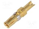 Contact; female; copper alloy; gold-plated; 14AWG÷12AWG; 20A CONEC