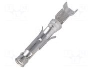 Contact; female; 16; CPC Series 1,CPC Series 4,TYPE III+,V35 TE Connectivity