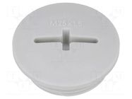 Stopper; M25; 1.5; IP54; polyamide; light grey; SKINDICHT®; 8mm LAPP