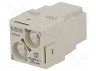 Connector: HDC; module; female; Han-Modular®; PIN: 2; 100A; 1000V HARTING