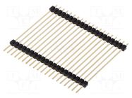 Connector: pin strips; pin header; male; PIN: 20; double deck; THT NINIGI