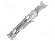 Contact; female; 16; CPC Series 1,CPC Series 4,TYPE III+,V35 TE Connectivity