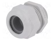 Gland; IP68; thermoplastic; M40; 20÷26mm; grey HARTING