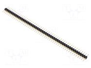 Connector: pin strips; pin header; male; PIN: 50; THT; 1.5A; 60V FISCHER ELEKTRONIK