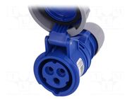 Connector: AC supply; socket; female; 16A; 230VAC; Shark; IEC 60309 PCE