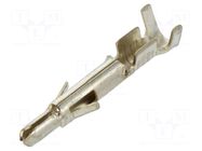 Contact; male; NLS; brass; tinned; 0.5÷1.5mm2; 20AWG÷16AWG; crimped NINIGI