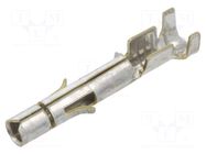 Contact; female; Universal MATE-N-LOK; brass; tinned; 0.5÷2mm2 TE Connectivity