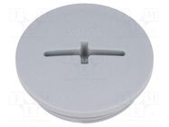 Stopper; M32; 1.5; IP54; polyamide; dark grey; SKINDICHT®; 8mm LAPP