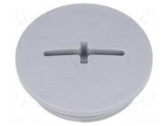 Stopper; M32; 1.5; IP54; polyamide; dark grey; SKINDICHT®; 8mm LAPP