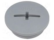 Stopper; M25; 1.5; IP54; polyamide; dark grey; SKINDICHT®; 8mm LAPP