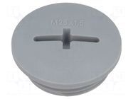 Stopper; M25; 1.5; IP54; polyamide; dark grey; SKINDICHT®; 8mm LAPP