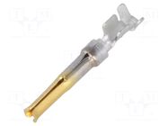 Contact; female; 20; HDP-20; copper alloy; gold-plated; crimped TE Connectivity