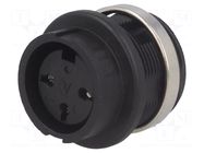 Connector: DIN; socket; female; C091B; PIN: 3; soldering; 300V; 5A AMPHENOL