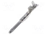 Contact; male; NPP; brass; tinned; 0.0804÷0.325mm2; 26AWG÷22AWG NINIGI