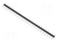 Connector: pin strips; pin header; male; PIN: 25; straight; 3A; THT MPE GARRY